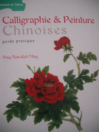 livre : calligraphie chinoise